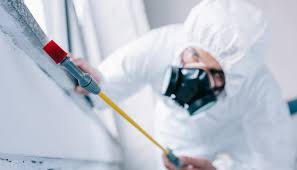 Best Real Estate Pest Inspections  in Burns Flat, OK